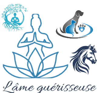 L'âme guérisseuse – Guérison du corps et de l'âme humaine et animalière